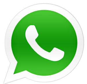 whatsapp-logo-icone2